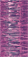 Gutermann Sliver (200m)
