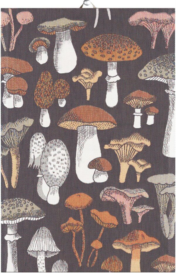 Svamprik handduk (40x60 cm)