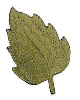 Applikation trend leaf (4,5×3 cm)